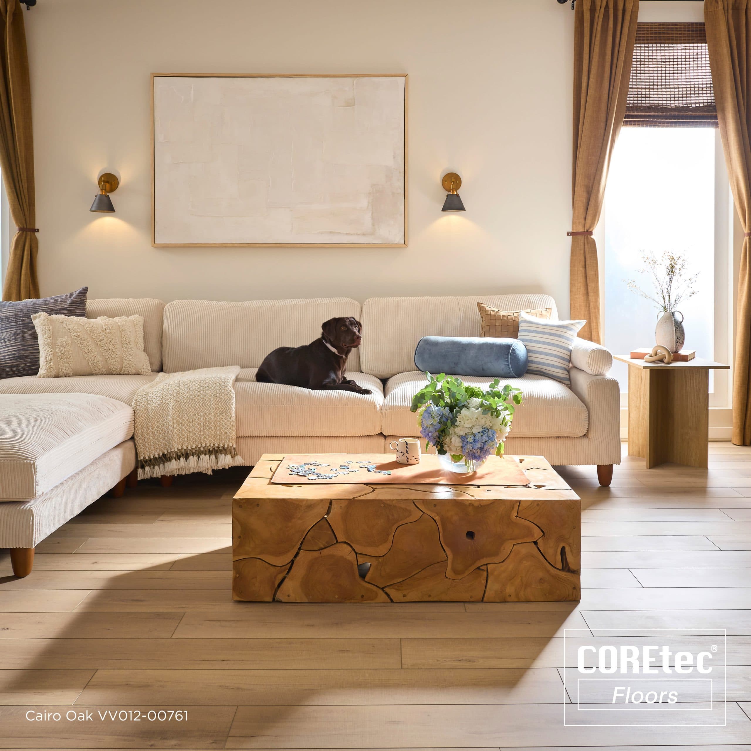 Modern living room with light wood-look luxury vinyl plank flooring, a beige sectional, live-edge wood coffee table, and a chocolate Labrador on the couch
