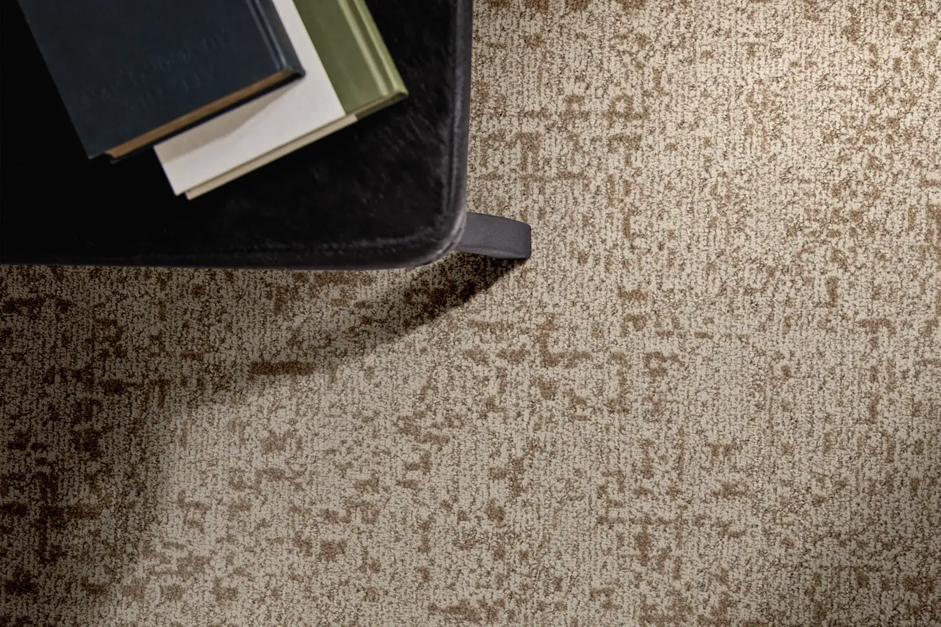 Anderson Tuftex carpet in a warm sepia tone shown in a living space