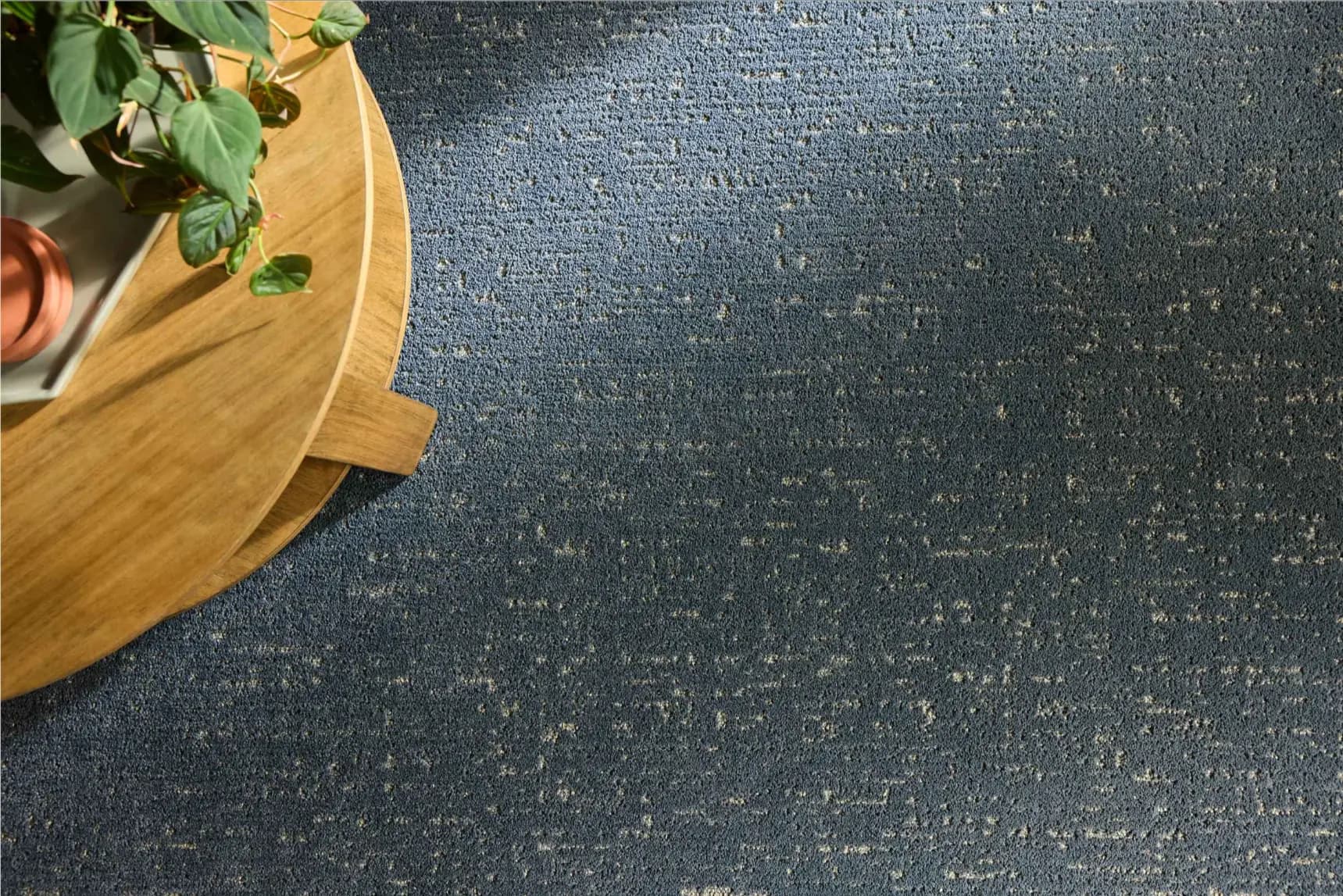 Plush carpet flooring installed in a Winter Haven, FL home by Blackburn's Interiors, Stainmaster and Mohawk pet-friendly lines, family-owned in Polk County since 1962