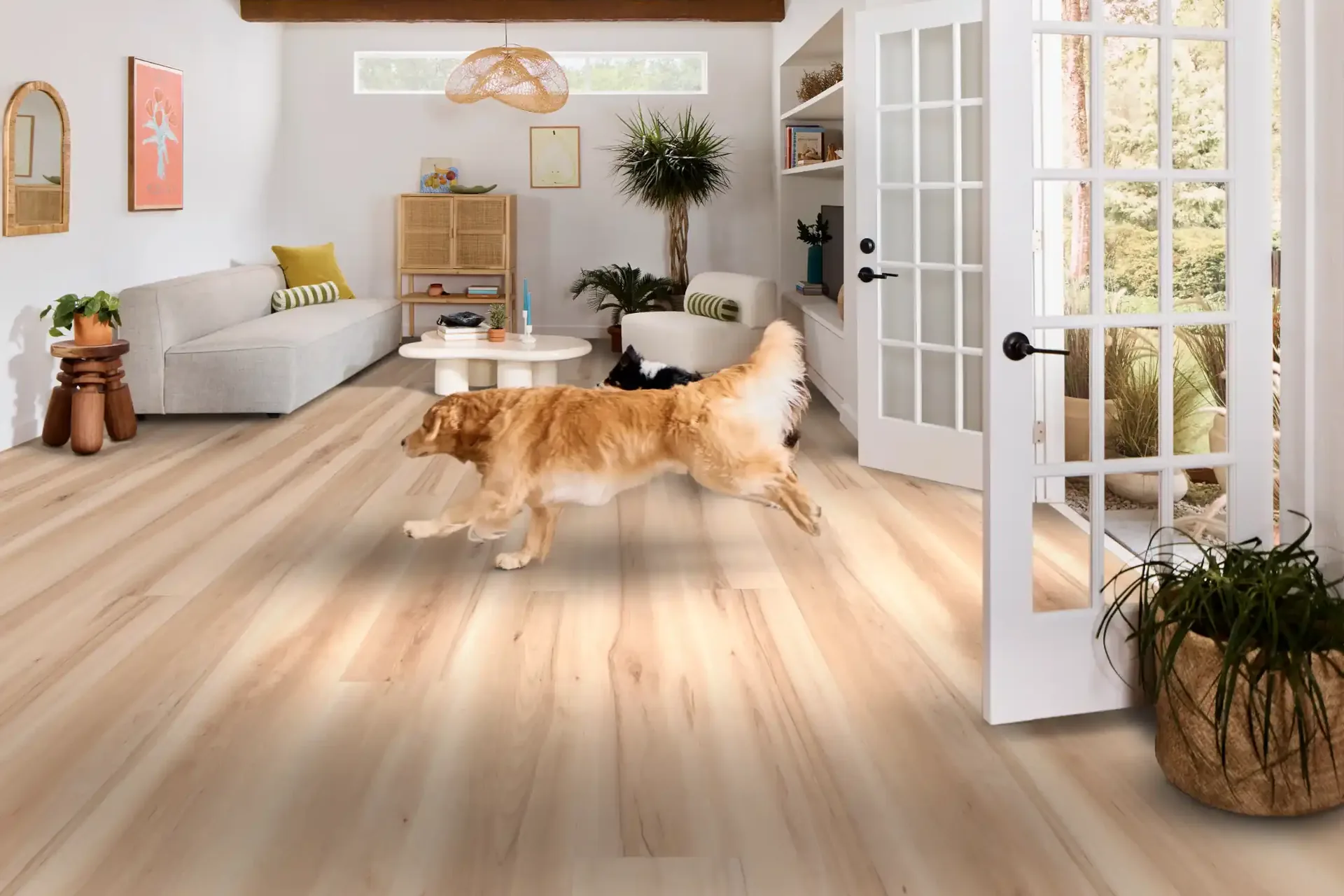 Golden retriever running on waterproof luxury vinyl plank — LVP flooring for Winter Haven, FL