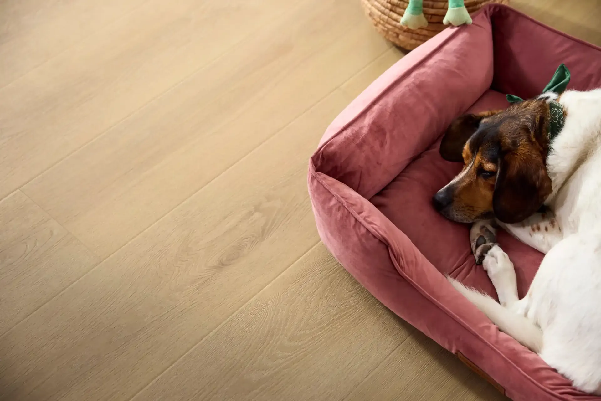 A dog resting in a bed on Shaw Komondor laminate in Copper Dune. Carried by Blackburn's Interiors, Winter Haven, FL
