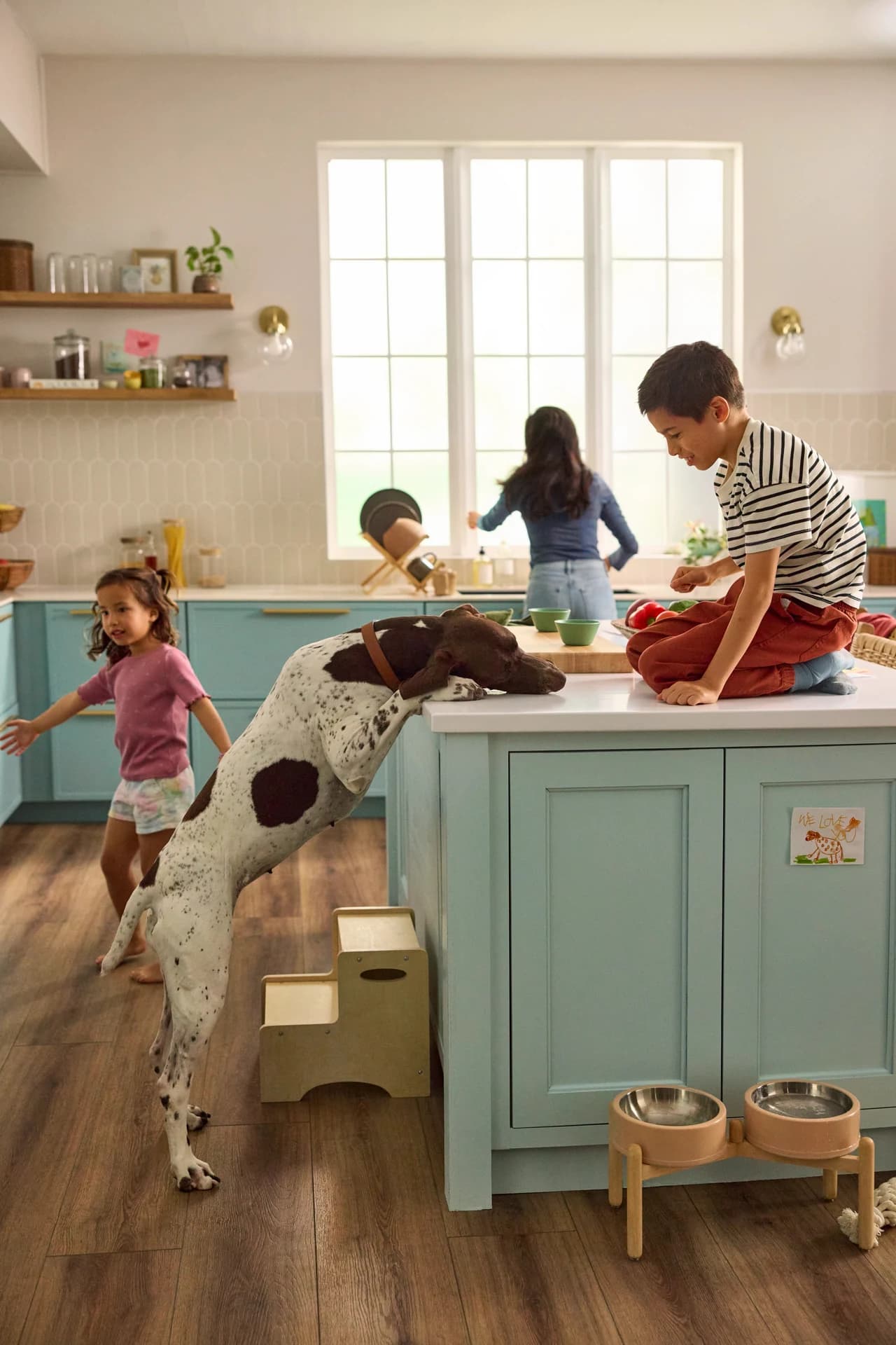 Spotted white and brown dog rests its paws on a teal kitchen island by raised dog bowls, on Shaw Floors Pet Perfect Briard vinyl plank in Coffee Oak.
