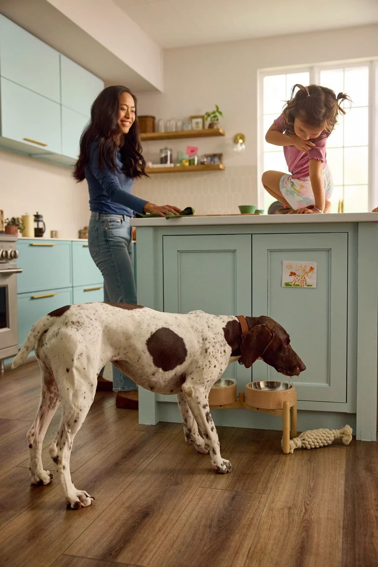 Spotted pointer stands beside raised dog bowls on Shaw Floors Pet Perfect Briard vinyl plank in Coffee Oak, in a kitchen with a teal island.